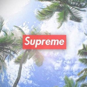 Meet your Posher, Ronnie